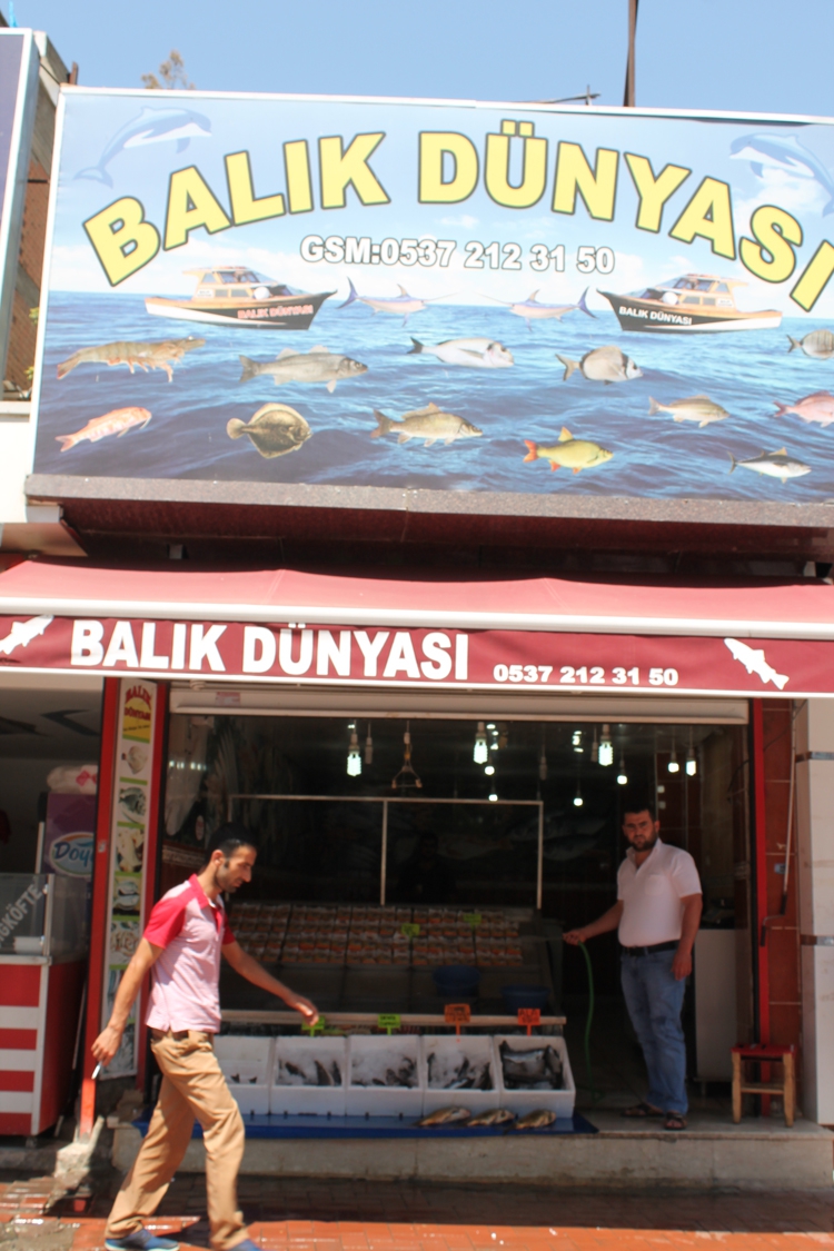BALIK D&Uuml;NYASI 18 YILI DEVİRDİ