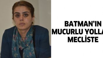 BATMAN&rsquo;IN MUCURLU YOLLARI, MECLİSTE