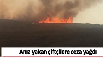 ANIZ YAKAN &Ccedil;İFT&Ccedil;İLERE CEZA YAĞDI