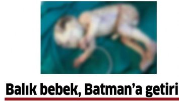 BALIK BEBEK, BATMAN&rsquo;A GETİRİLDİ