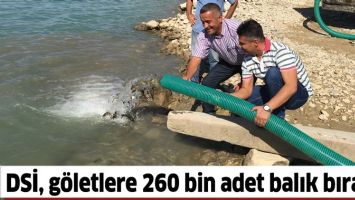 DSİ, G&Ouml;LETLERE 260 BİN ADET BALIK BIRAKTI