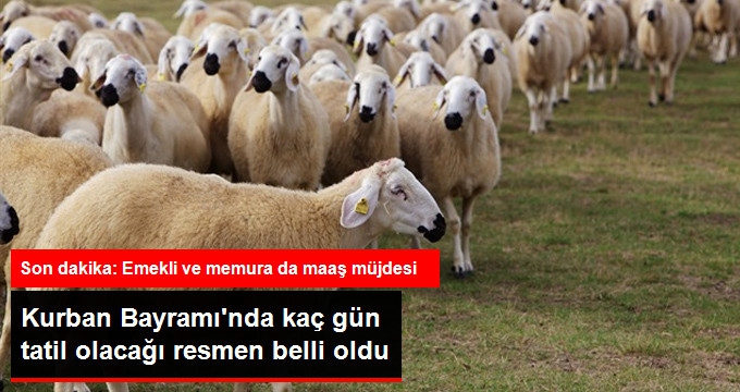 KURBAN BAYRAMI'NDA KA&Ccedil; G&Uuml;N TATİL
