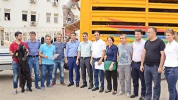 2 &Ccedil;İFT&Ccedil;İYE 80 ADET KIL KE&Ccedil;İSİ HİBE EDİLDİ