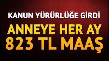 Anneye her ay 823 TL maaş