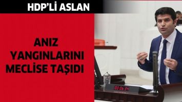 HDP&rsquo;Lİ ASLAN, ANIZ YANGINLARINI MECLİSE TAŞIDI