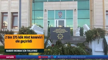 2 bin 375 k&ouml;k Hint keneviri ele ge&ccedil;irildi