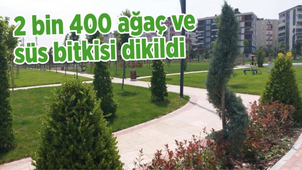 2 BİN 400 AĞA&Ccedil; VE S&Uuml;S BİTKİSİ DİKİLDİ