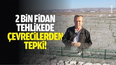 2 bin fidan tehlikede: &Ccedil;evrecilerden tepki!