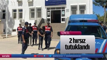 2 hırsız tutuklandı