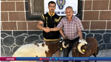 2 hırsızlık zanlısı tutuklandı