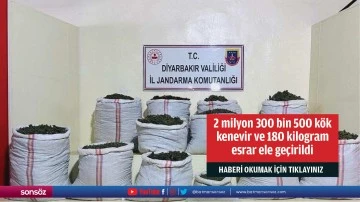 2 milyon 300 bin 500 k&ouml;k kenevir ve 180 kilogram esrar ele ge&ccedil;irildi