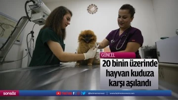 20 binin &uuml;zerinde hayvan kuduza karşı aşılandı