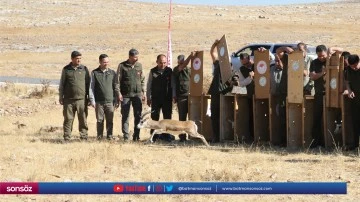 20 ceylan doğaya bırakıldı