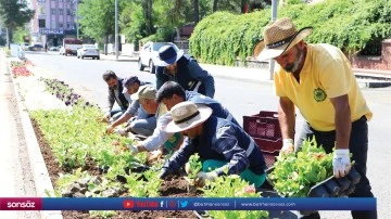 200 bin &ccedil;i&ccedil;ek toprakla buluşacak