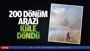 200 d&ouml;n&uuml;m arazi k&uuml;le d&ouml;nd&uuml;