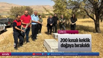 200 kınalı keklik doğaya bırakıldı