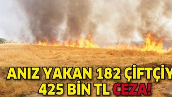ANIZ YAKAN 182 &Ccedil;İFT&Ccedil;İYE 425 BİN TL CEZA!
