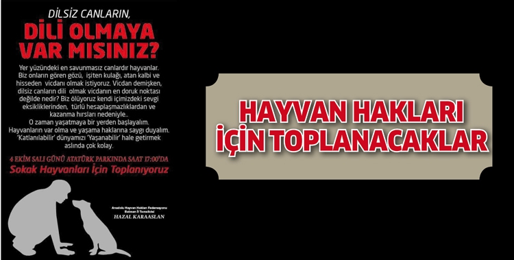 HAYVAN HAKLARI İ&Ccedil;İN TOPLANACAKLAR