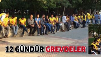 12 G&Uuml;ND&Uuml;R GREVDELER