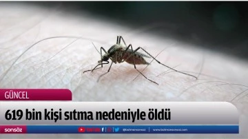 2021'de 619 bin kişi sıtma nedeniyle &ouml;ld&uuml;
