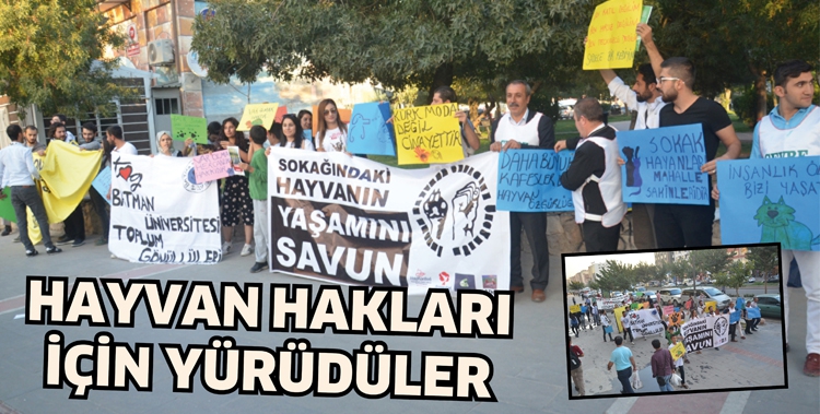 HAYVAN HAKLARI İ&Ccedil;İN Y&Uuml;R&Uuml;D&Uuml;LER
