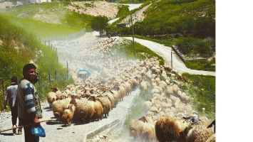 G&Ouml;&Ccedil;ERLER D&Ouml;N&Uuml;Ş YOLUNDA