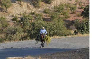 K&Ouml;YLERDE KIŞ HAZIRLIKLARI BAŞLADI