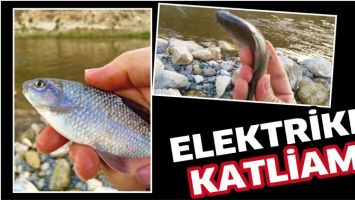 ELEKTRİKLİ KATLİAM!