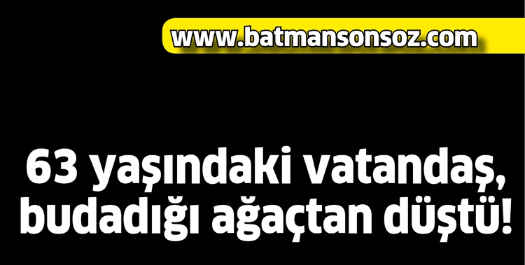 63 YAŞINDAKİ VATANDAŞ, BUDADIĞI AĞA&Ccedil;TAN D&Uuml;ŞT&Uuml;!