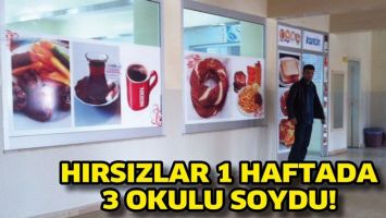 HIRSIZLAR 1 HAFTADA 3 OKULU SOYDU!
