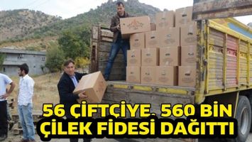 56 &Ccedil;İFT&Ccedil;İYE, 560 BİN &Ccedil;İLEK FİDESİ DAĞITTI
