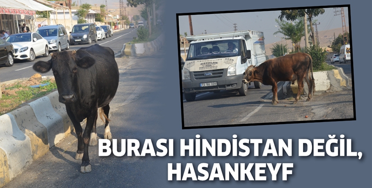 BURASI HİNDİSTAN DEĞİL, HASANKEYF