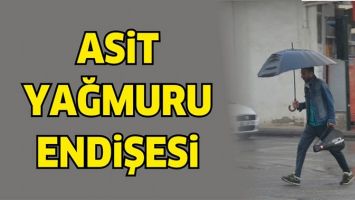 ASİT YAĞMURU ENDİŞESİ