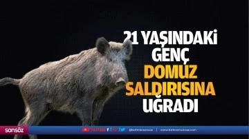 21 yaşındaki gen&ccedil;, domuz saldırısına uğradı