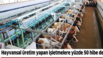 HAYVANSAL &Uuml;RETİM YAPAN İŞLETMELERE Y&Uuml;ZDE 50 HİBE DESTEĞİ