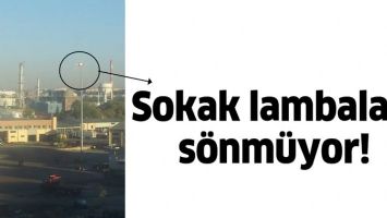 SOKAK LAMBALARI S&Ouml;NM&Uuml;YOR!