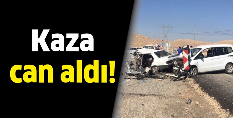 KAZA CAN ALDI!
