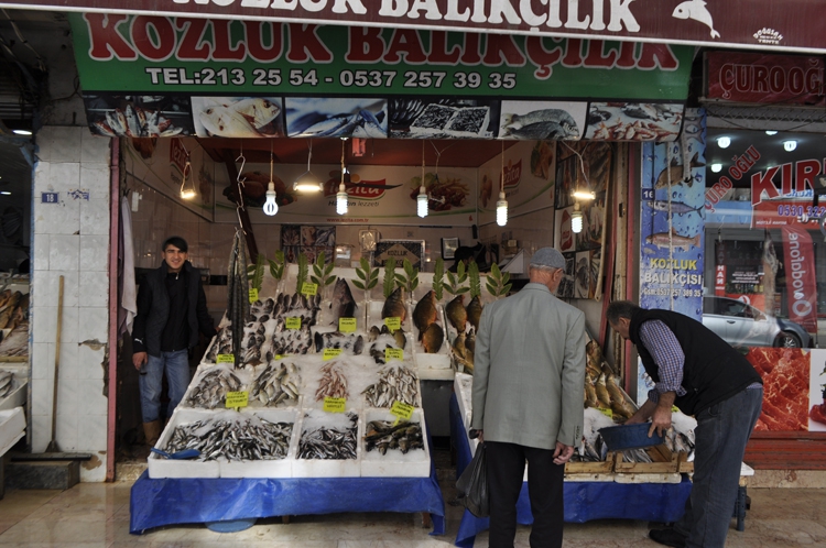 BALIK ALMANIN TAM ZAMANI