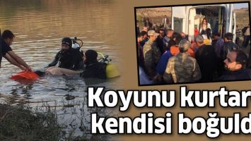 KOYUNU KURTARDI, KENDİSİ BOĞULDU!