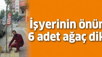 İŞYERİNİN &Ouml;N&Uuml;NE 6 ADET AĞA&Ccedil; DİKTİ