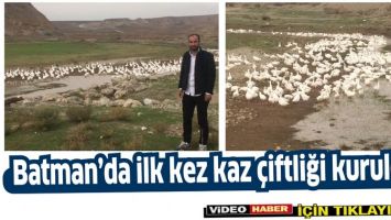 BATMAN&rsquo;DA İLK KEZ KAZ &Ccedil;İFTLİĞİ KURULDU