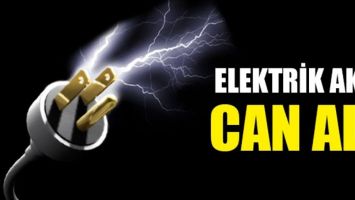 ELEKTRİK AKIMI CAN ALDI!