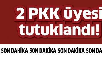 2 PKK ÜYESİ TUTUKLANDI!