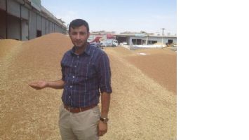 BUĞDAY, DİBE VURDU