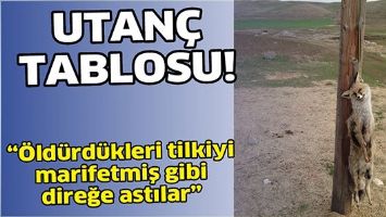UTAN&Ccedil; TABLOSU!