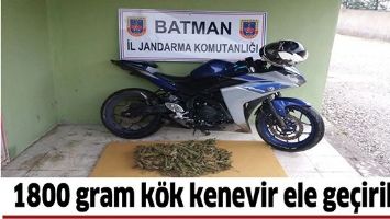 1800 GRAM K&Ouml;K KENEVİR ELE GE&Ccedil;İRİLDİ!