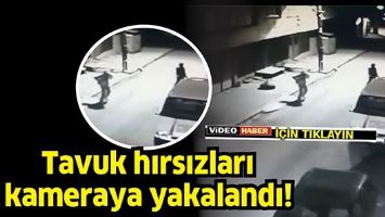 TAVUK HIRSIZLARI KAMERAYA YAKALANDI!