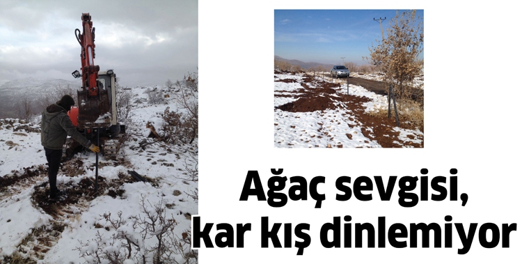 AĞA&Ccedil; SEVGİSİ, KAR KIŞ DİNLEMİYOR