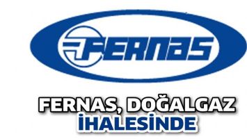 FERNAS, DOĞALGAZ İHALESİNDE