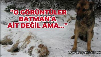 &ldquo;O G&Ouml;R&Uuml;NT&Uuml;LER BATMAN&rsquo;A AİT DEĞİL AMA&hellip;&rdquo;